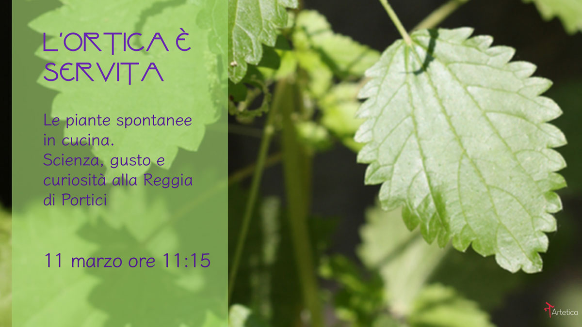 2018.03.11 evento Reggia ortica