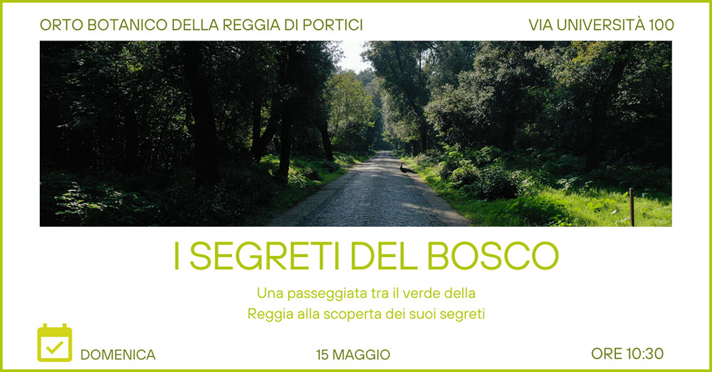 2022 05 15 I segreti del bosco