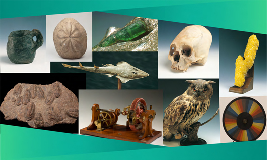 2022 09 24 Centro Musei