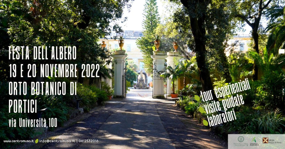 2022 11 19e20 FestaAlbero