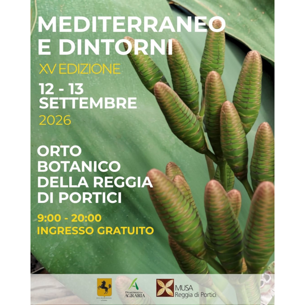 Mediterraneo e dintorni