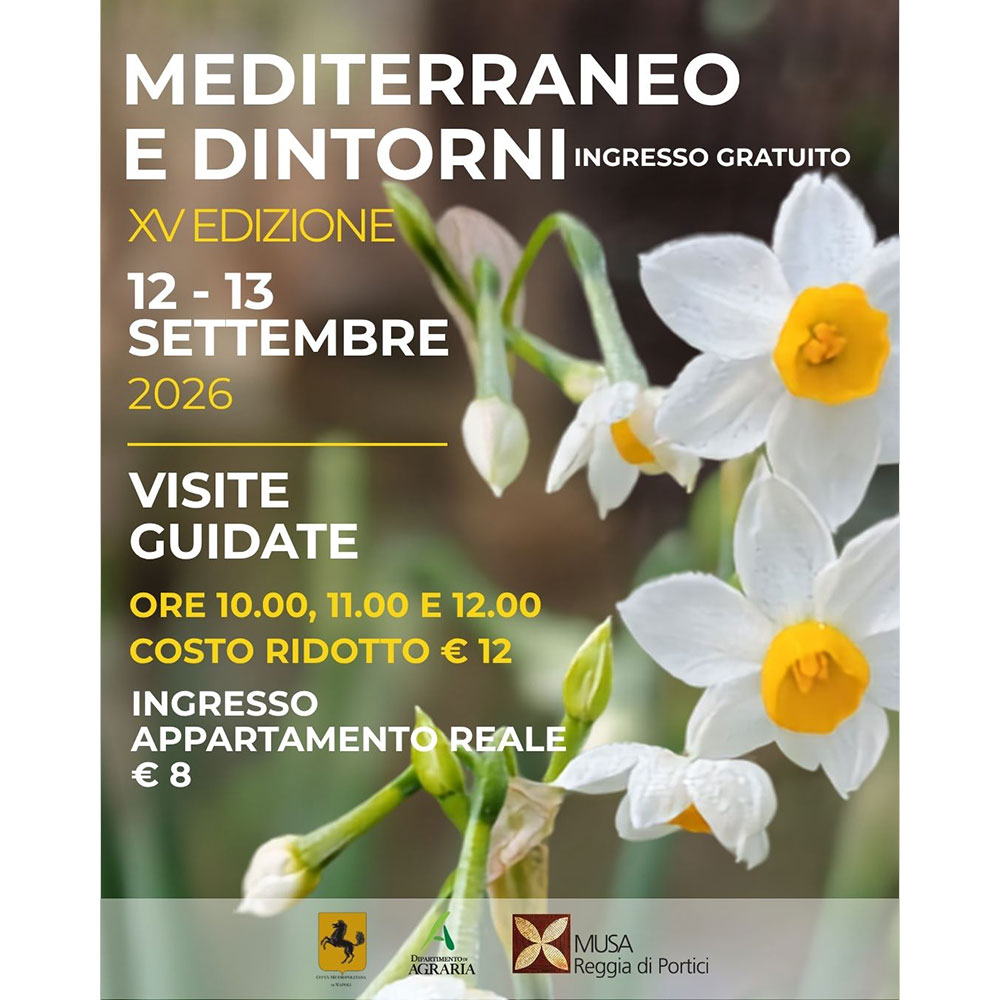 Mediterraneo e dintorni – Visite guidate