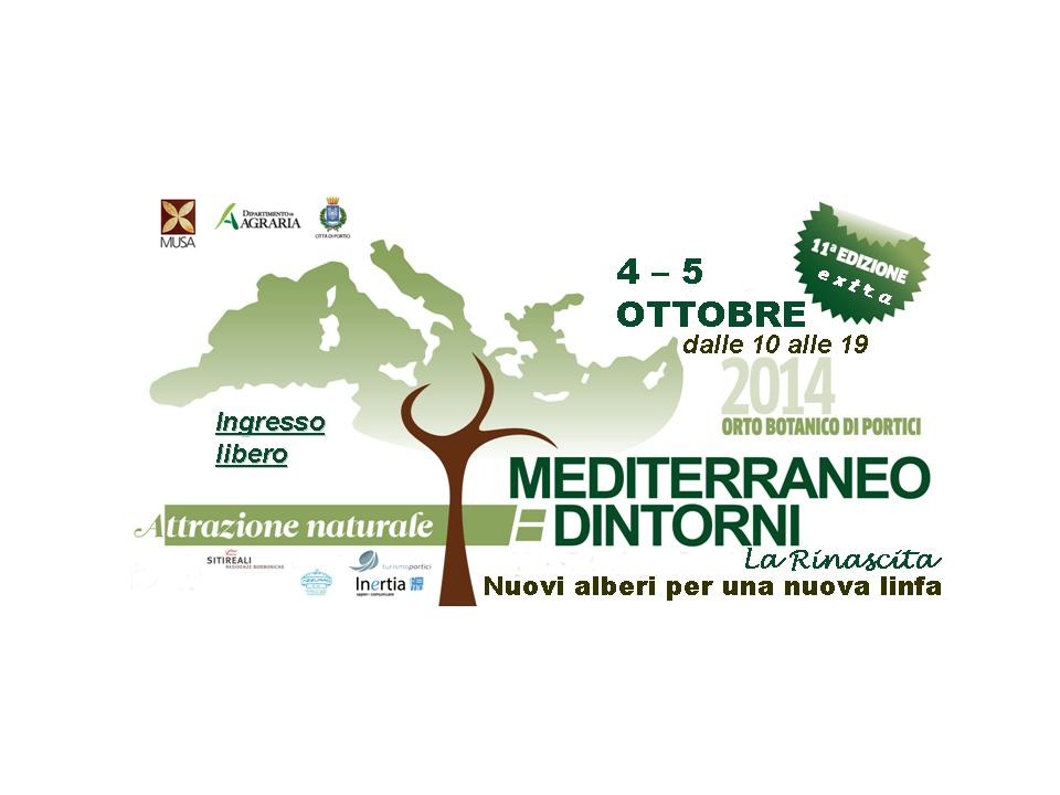 MED AUTUNNO Logo
