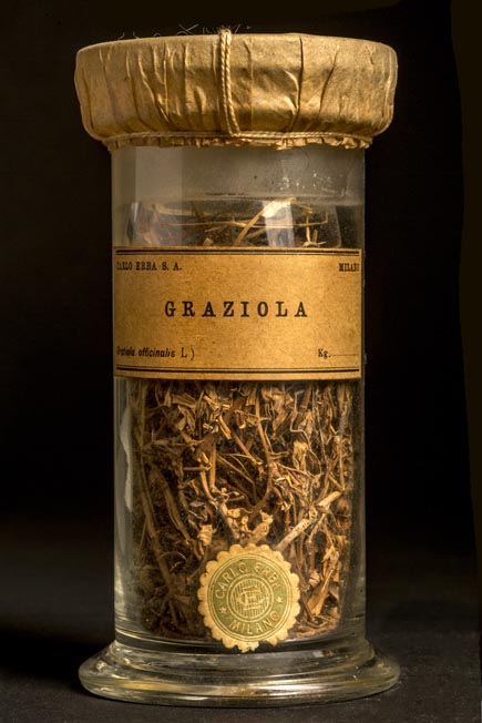 GRAZIOLA