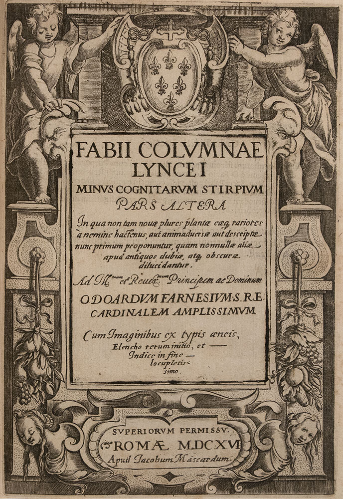 004a_Fabio-Colonna_Minus-cognitarum_Stirpium
