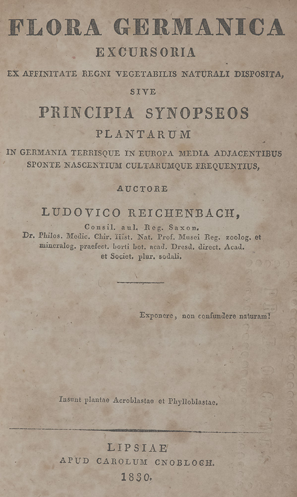 052_Heinrich-Gottlieb-Ludwig-Reichenbach_Flora-germanica-excursoria