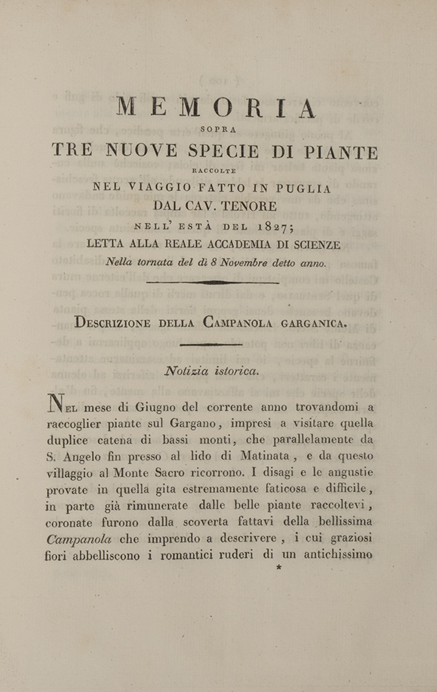 055d_Michele-Tenore_Memoria-sopra-tre-nuove-specie-di-piante