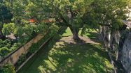 giardino segreto canforo secolare1