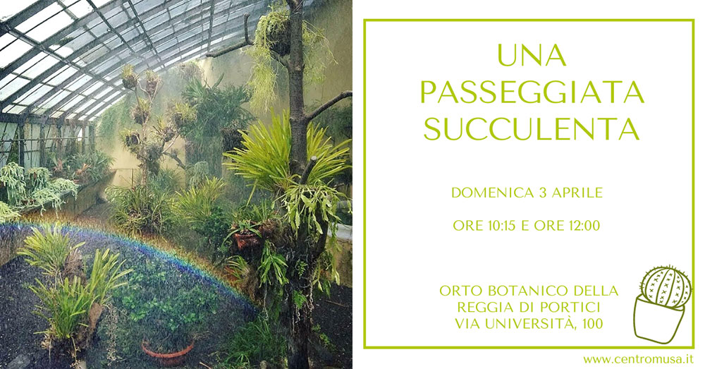 una passeggiata succulenta aprile 2022